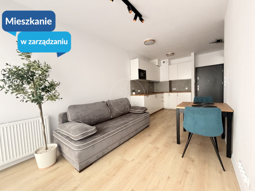 Mieszkanie Wynajem Bydgoszcz Czyżkówko Flisacka 1