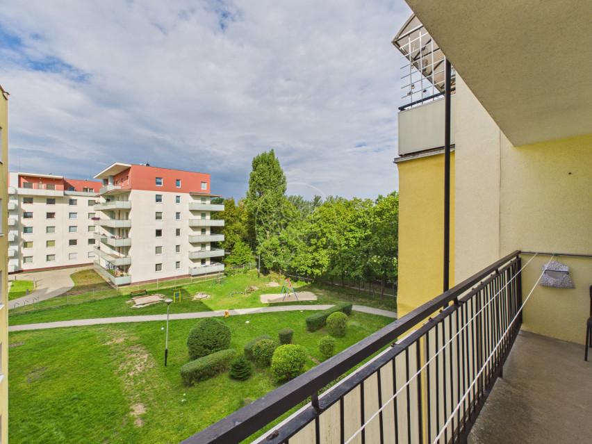 Mieszkanie Wynajem Bydgoszcz Wzgórze Wolności Wojska Polskiego 6