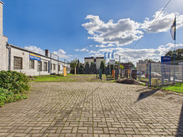 Lokal Wynajem Toruń