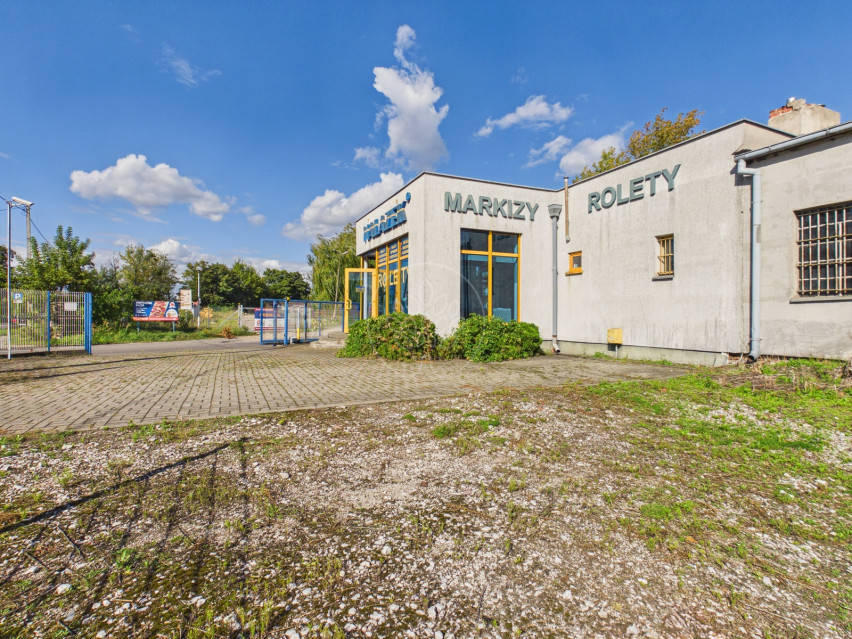 Lokal Wynajem Toruń 13