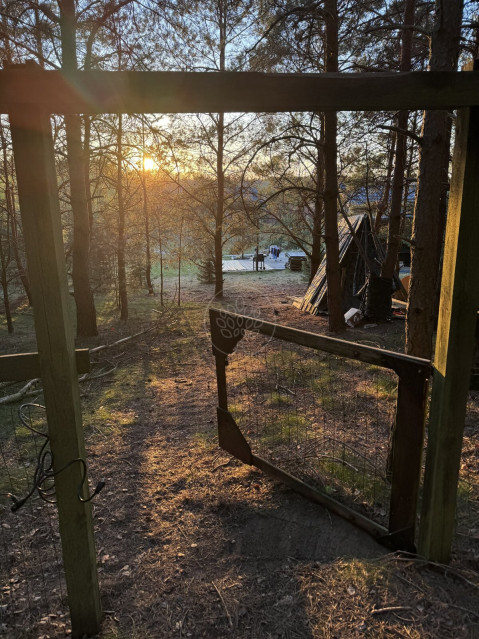 Dom Sprzedaż Samociążek Nad Brdą 16