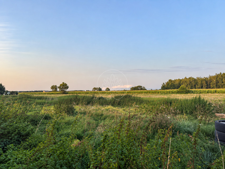 Działka Sprzedaż Kruszyn Krajeński 5