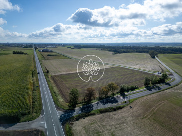 Działka Sprzedaż Nakło Nad Notecią