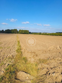 Działka Sprzedaż Serock
