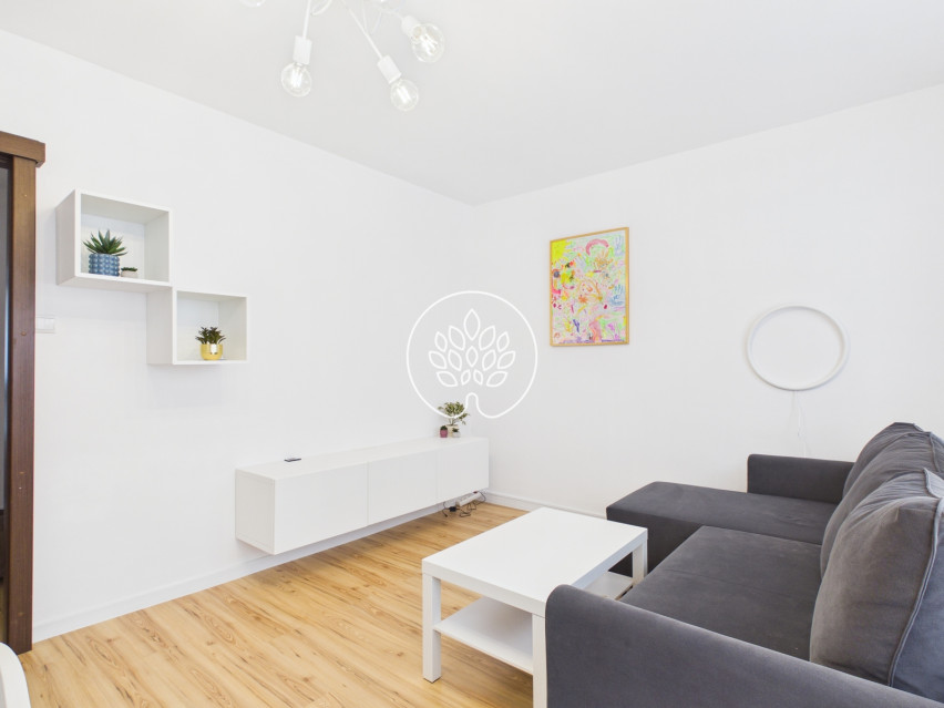 Mieszkanie Wynajem Bydgoszcz Modrakowa 18