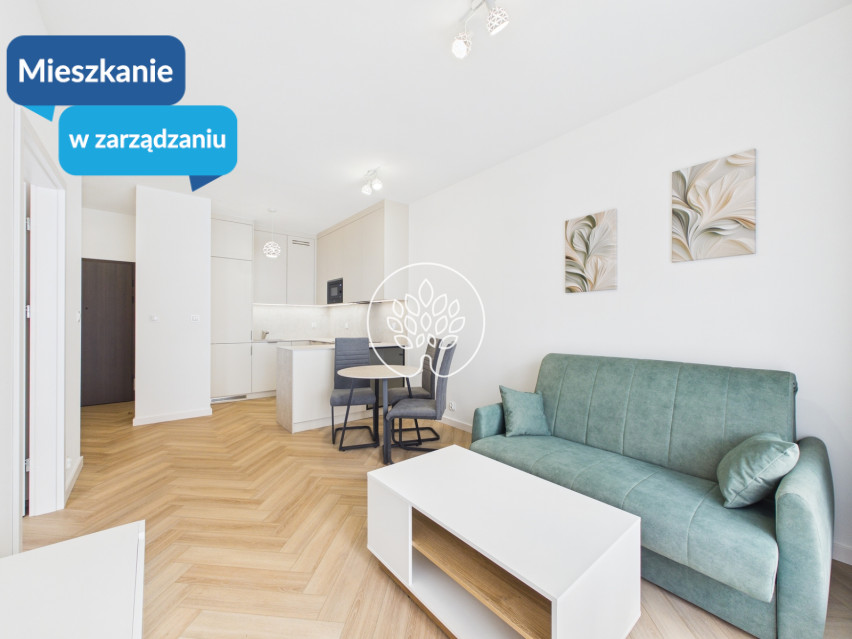 Mieszkanie Wynajem Bydgoszcz Wojska Polskiego 1