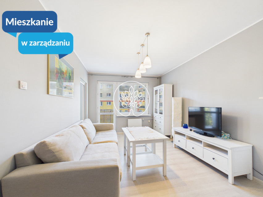 Mieszkanie Wynajem Bydgoszcz Romana Dmowskiego 1