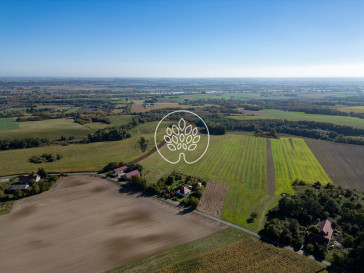 Działka Sprzedaż Topolno