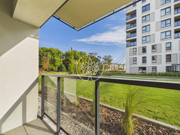 Mieszkanie Wynajem Bydgoszcz Śródmieście Królowej Jadwigi