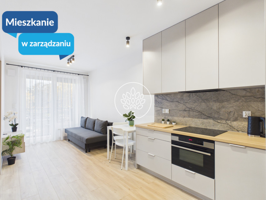 Mieszkanie Wynajem Bydgoszcz Wojska Polskiego 1