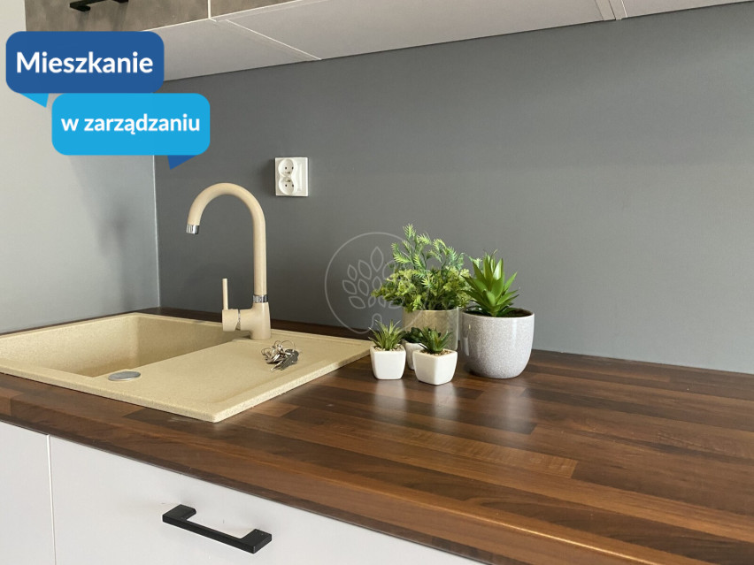 Mieszkanie Wynajem Bydgoszcz Centrum Dr. Emila Warmińskiego 1