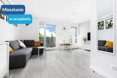 Mieszkanie Wynajem Bydgoszcz Wilczak Nakielska