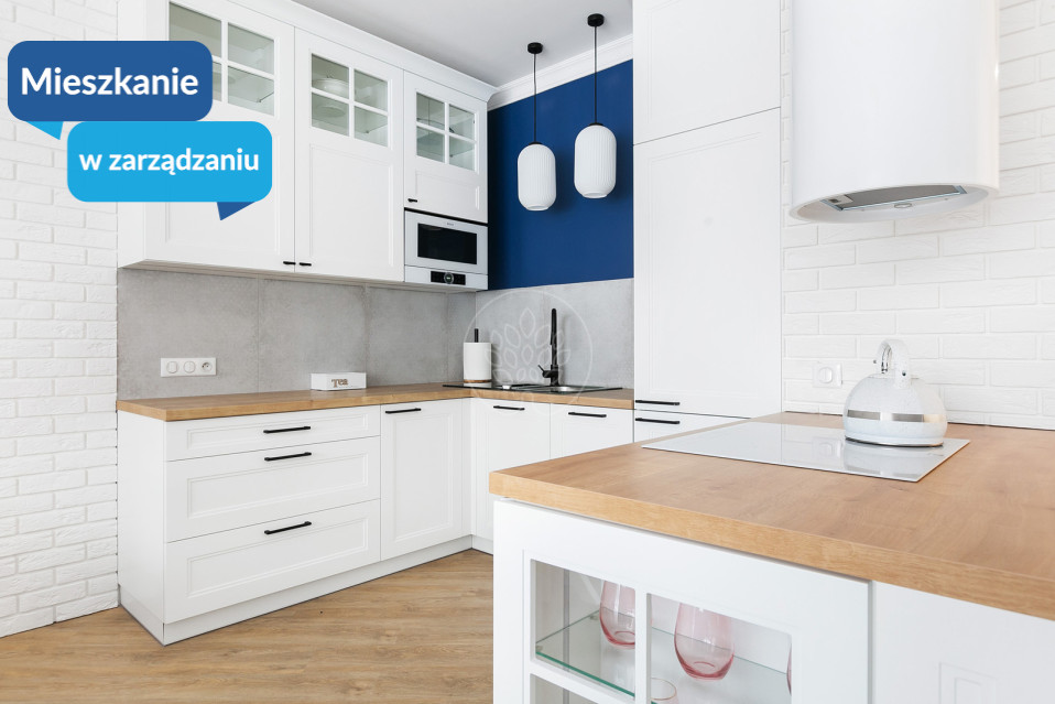 Mieszkanie Wynajem Myślęcinek Kąkolowa 1